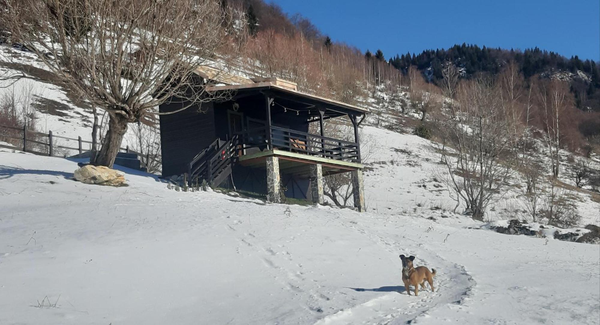 Magura Rustic Tiny House Villa Exterior photo